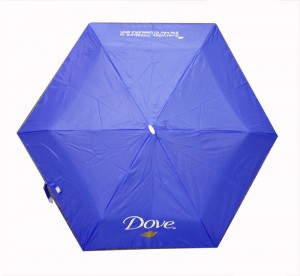 26. Blue Umbrella