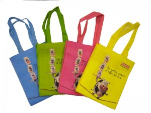 11. Shopping Bag